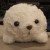 Avatar for cloudrainstar from gravatar.com