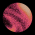 Avatar for jmarinca from gravatar.com