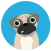 Avatar for meanpug from gravatar.com