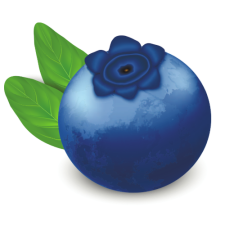 Avatar for bilberrydb from gravatar.com