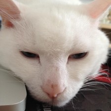 Avatar for 张靖宇 from gravatar.com