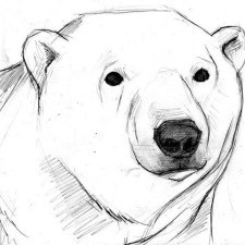Avatar for Diego Palma from gravatar.com
