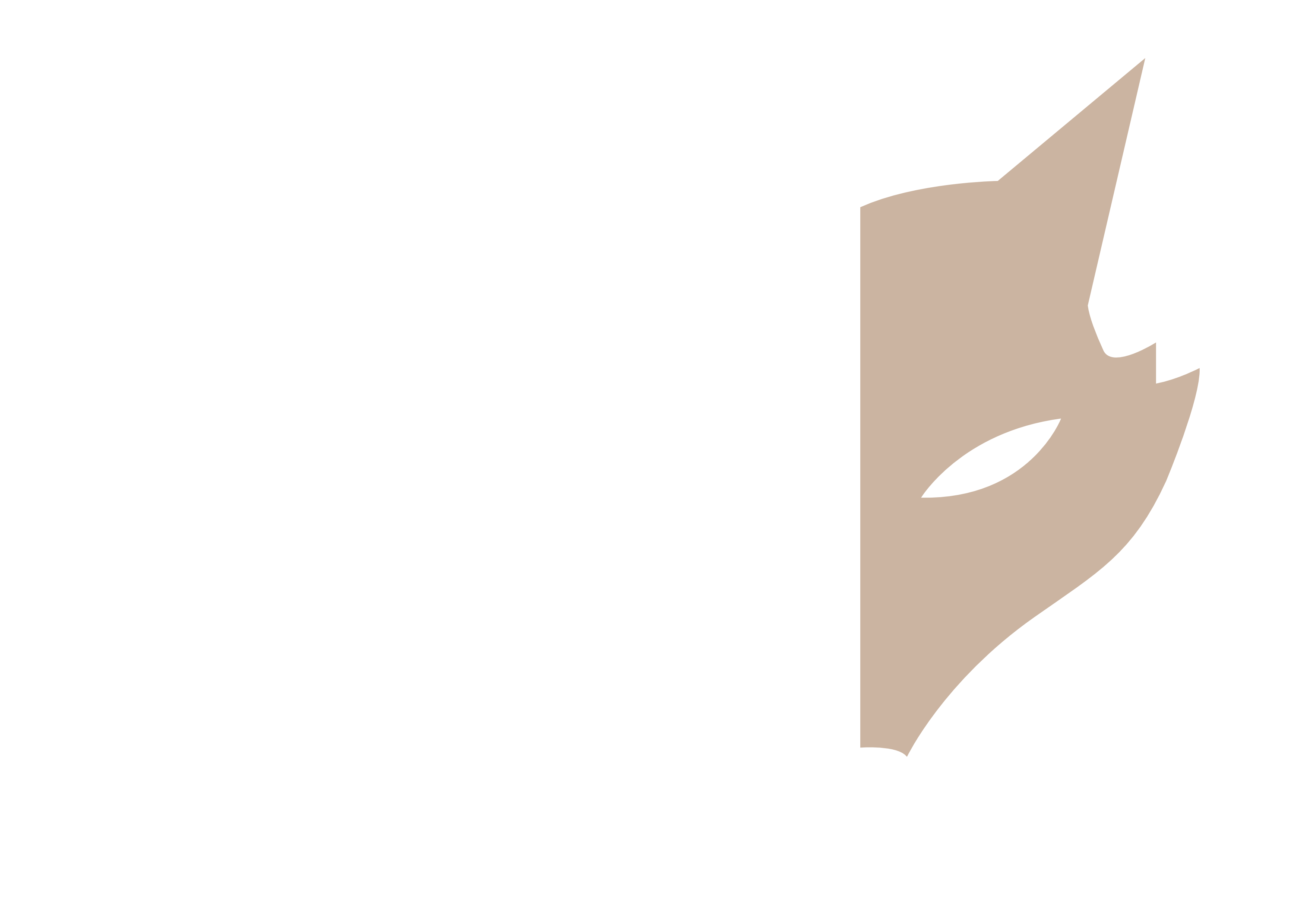 Fennec Logo