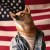 Avatar for zsdonny from gravatar.com