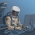 Avatar for htshongany from gravatar.com