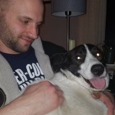 Avatar for Will Dana from gravatar.com