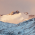 Avatar for jakesherman from gravatar.com