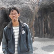 Avatar for donnisoft from gravatar.com