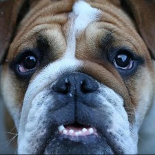 Avatar for sobach from gravatar.com