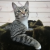 Avatar for TimoXBeR from gravatar.com