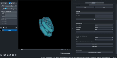 labelinterpolation gif