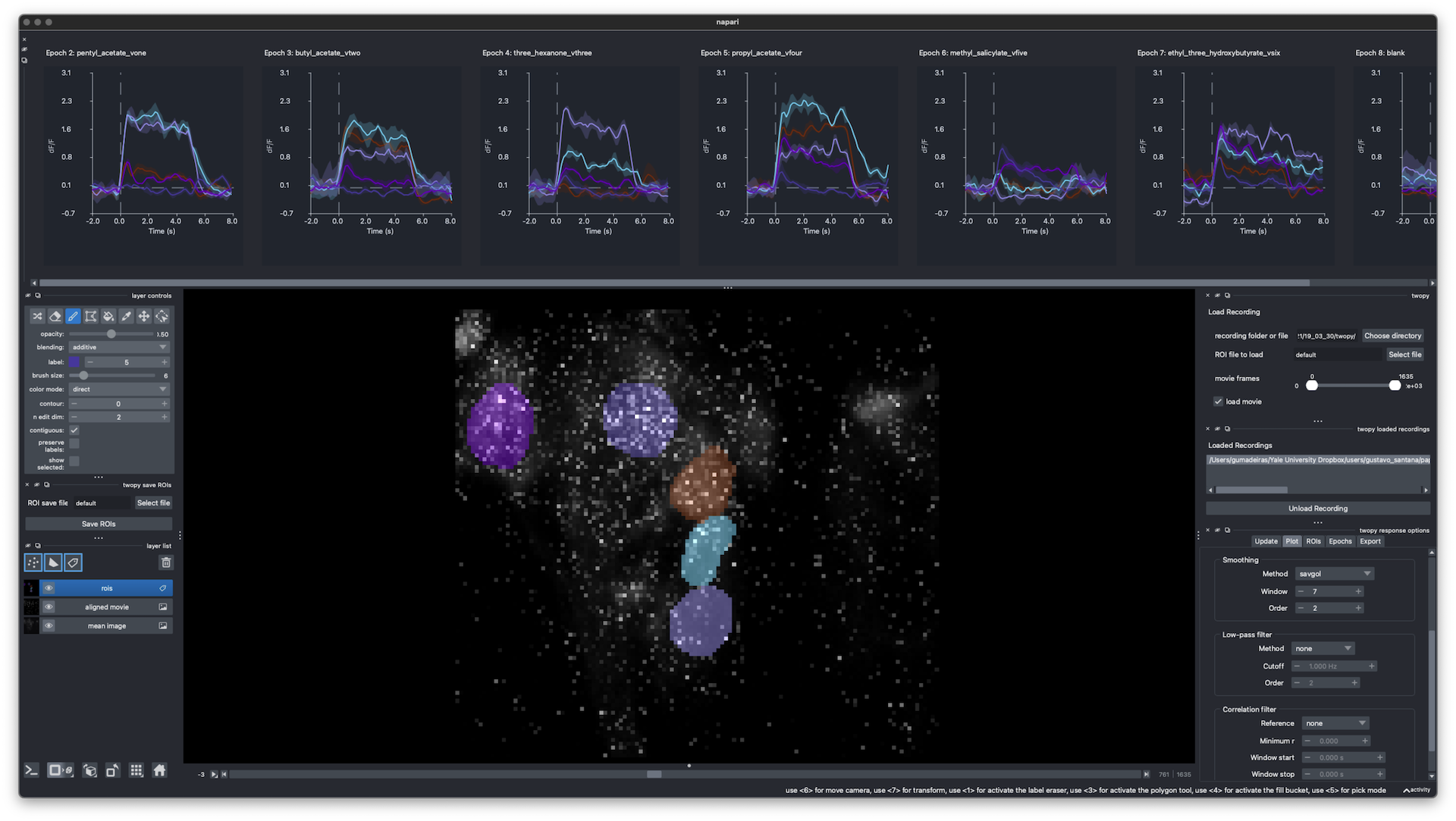 twopy napari interface