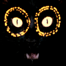 Avatar for Bob Borges from gravatar.com