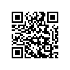 Avatar for Shadi Kabajah from gravatar.com