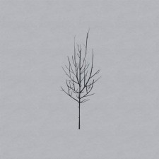 Avatar for mizhengdi from gravatar.com