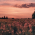 Avatar for ewgsta from gravatar.com