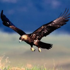 Avatar for broble from gravatar.com