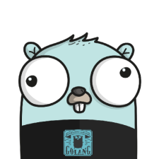 Avatar for Rafael Antonio Hidalgo from gravatar.com