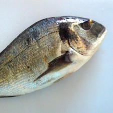 Avatar for egaudrain from gravatar.com