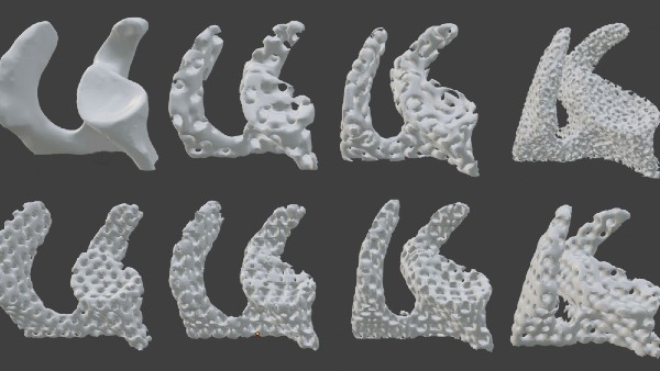 Examples porous scaffold