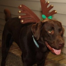 Avatar for Josh Bode from gravatar.com