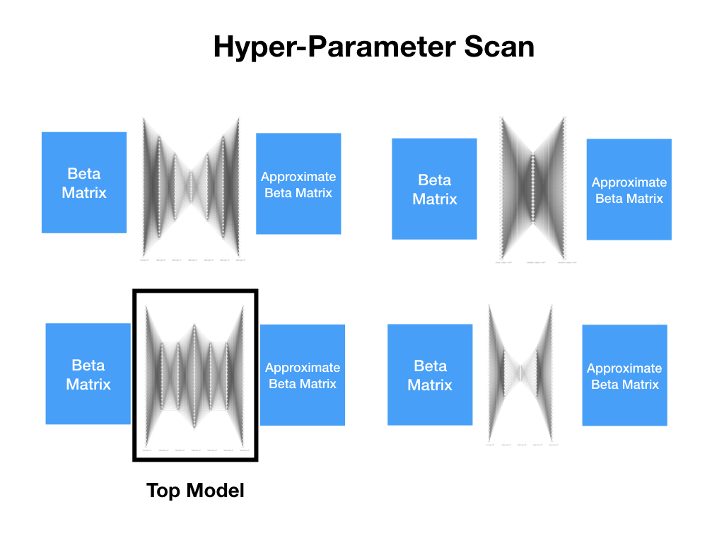 MethylNetPresentationSpring2019Lab 002