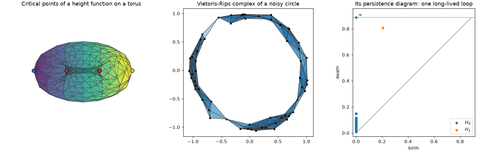 Critical points on a torus, a Vietoris-Rips complex of a noisy circle, and its persistence diagram