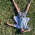 Avatar for mightbesimon from gravatar.com