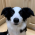 Avatar for nanw1103 from gravatar.com