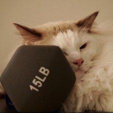 Avatar for Logan Yang from gravatar.com