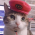 Avatar for moskize from gravatar.com