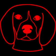 Avatar for Ari Gami from gravatar.com