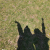 Avatar for 1549184870 from gravatar.com