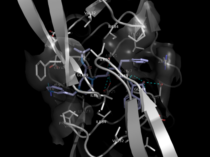 Pharmacophore view of MK1 in HIV-1 protease (1HSG)