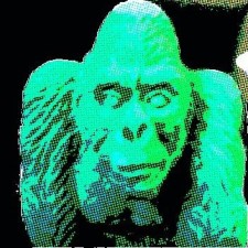 Avatar for asobrien from gravatar.com