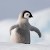 Avatar for artemis_1024 from gravatar.com