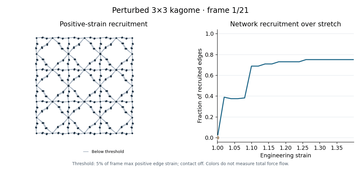 Thresholded tensile recruitment during simulated stretch