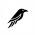 Avatar for cyberhuginn from gravatar.com
