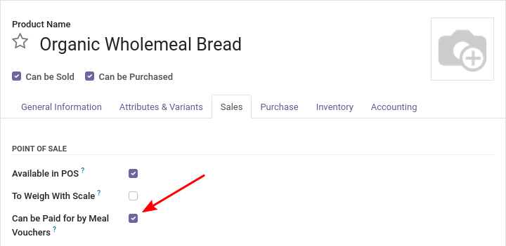 https://raw.githubusercontent.com/OCA/pos/16.0/pos_meal_voucher/static/description/product_product_form.png