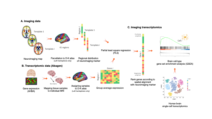 Imaging-transcriptomics_overwiew