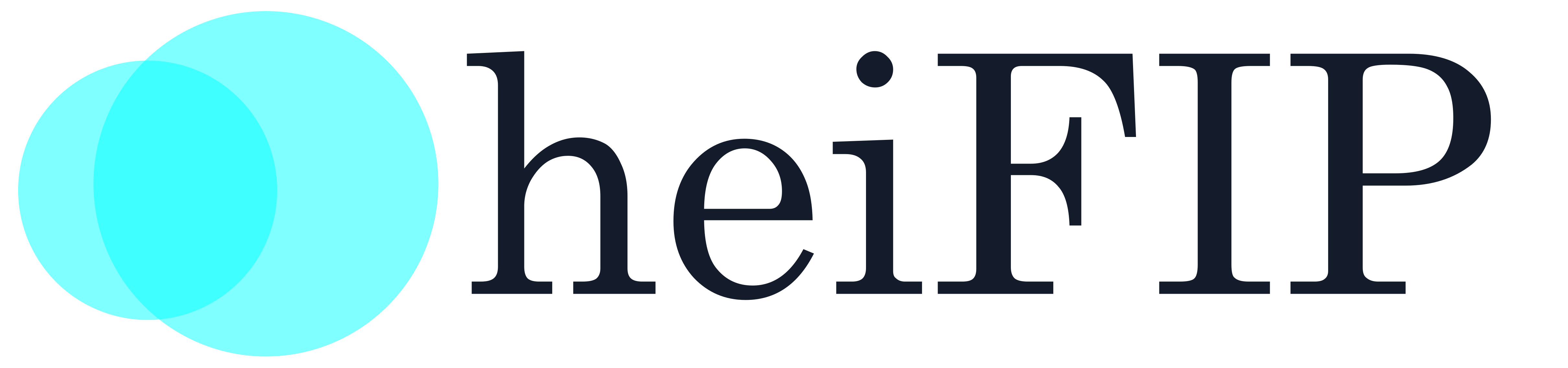 heiFIP Logo