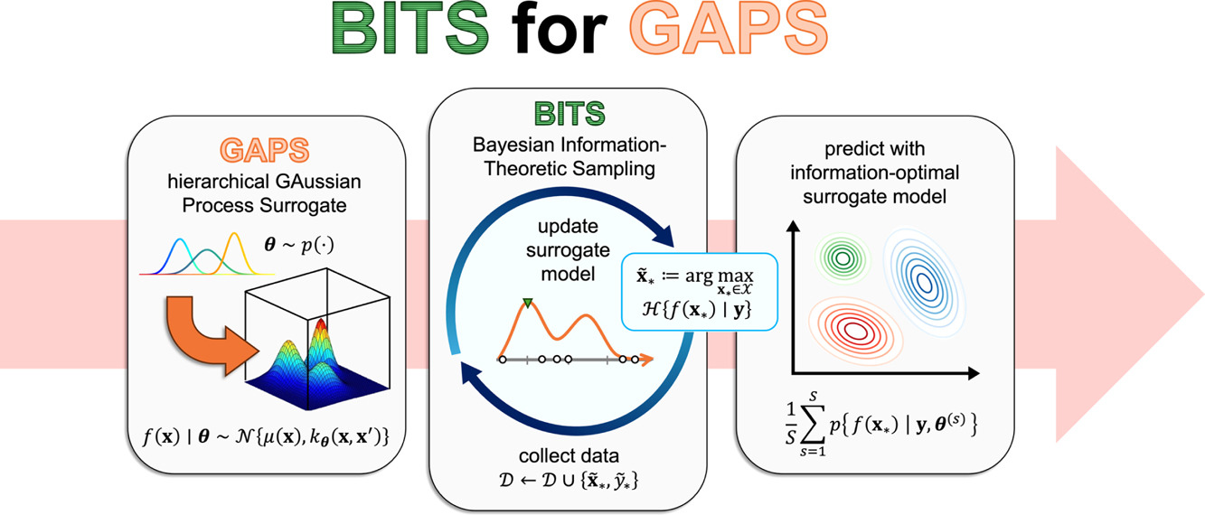BITS for GAPS framework overview: a hierarchical Gaussian process surrogate (GAPS) places priors on the kernel hyperparameters; Bayesian information-theoretic sampling (BITS) repeatedly selects the next input by maximizing the predictive differential entropy and collects data there; the result is an information-optimal surrogate whose predictions average over the hyperparameter posterior.