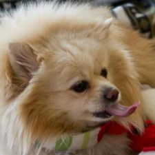 Avatar for vietjtnguyen from gravatar.com