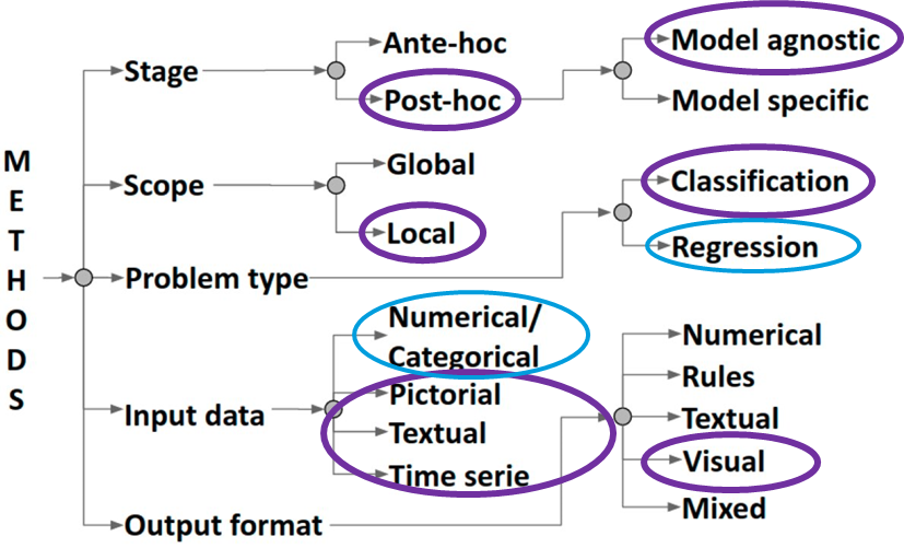 XAI_taxonomy