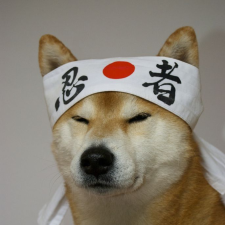 Avatar for Yuri Harada from gravatar.com