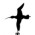 Avatar for ximenesuk from gravatar.com