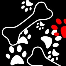 Avatar for Secbone from gravatar.com