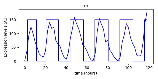 Results and experiment data