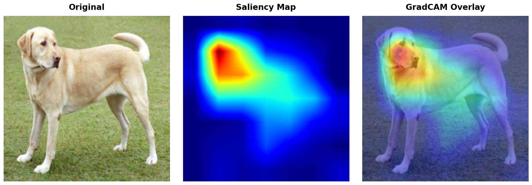 torchxai — One line to explain any vision model