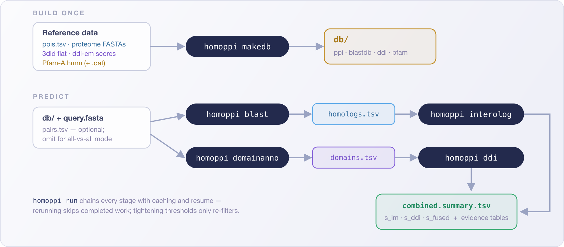 homoppi workflow